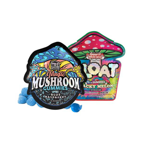 Mushroom Gummy Bundle