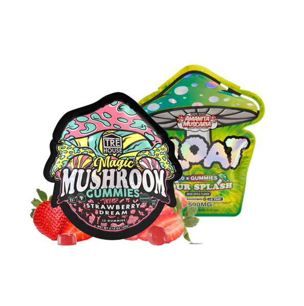 Mushroom Gummy Bundle