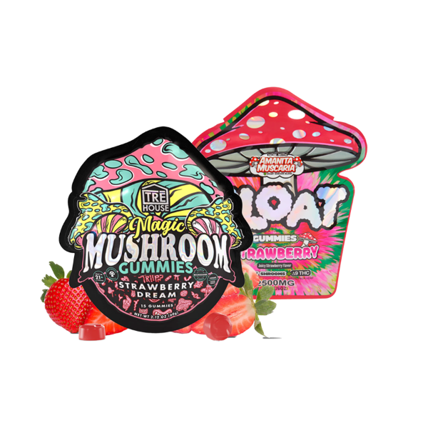 Mushroom Gummy Bundle