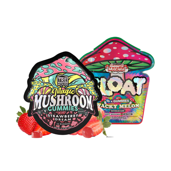 Mushroom Gummy Bundle