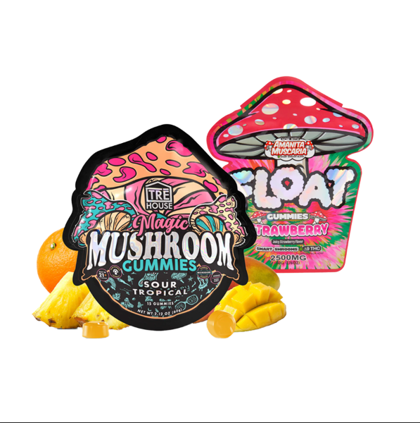 Mushroom Gummy Bundle