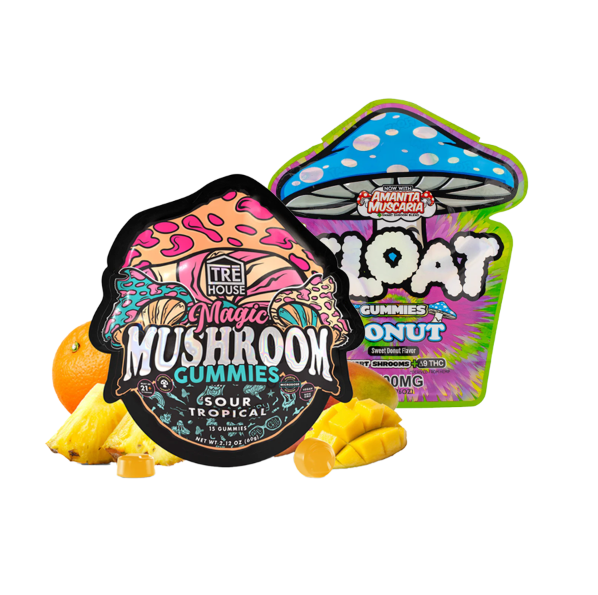 Mushroom Gummy Bundle
