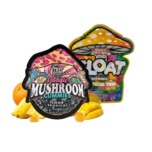 Mushroom Gummy Bundle