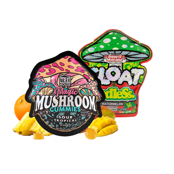 Mushroom Gummy Bundle