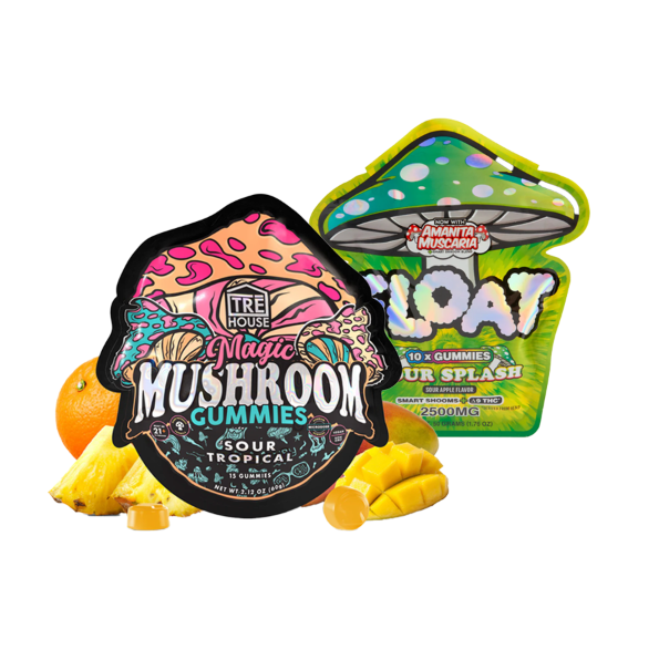 Mushroom Gummy Bundle
