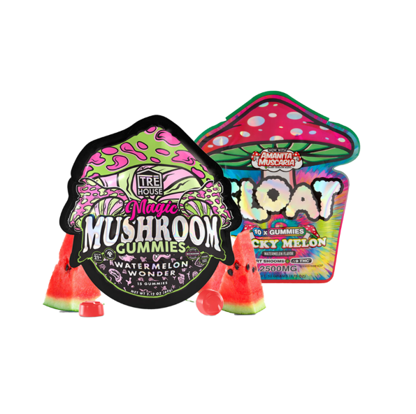 Mushroom Gummy Bundle