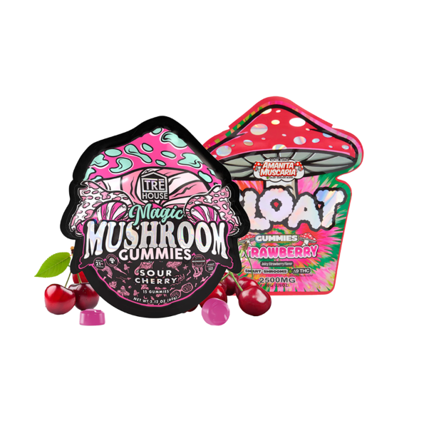 Mushroom Gummy Bundle