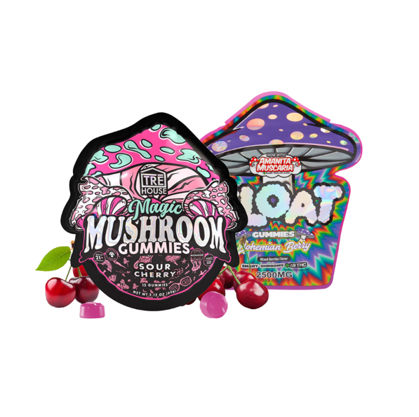 Mushroom Gummy Bundle