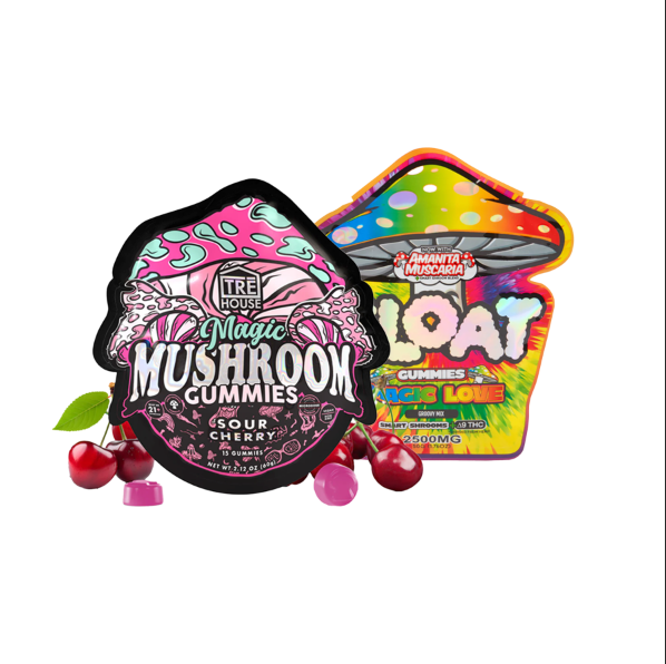 Mushroom Gummy Bundle