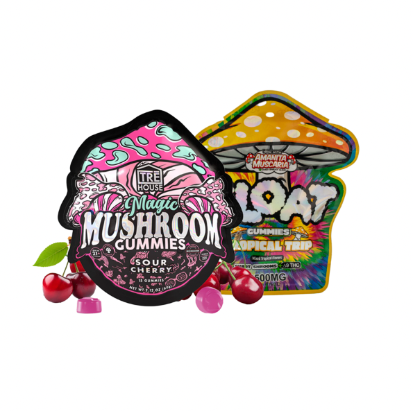 Mushroom Gummy Bundle