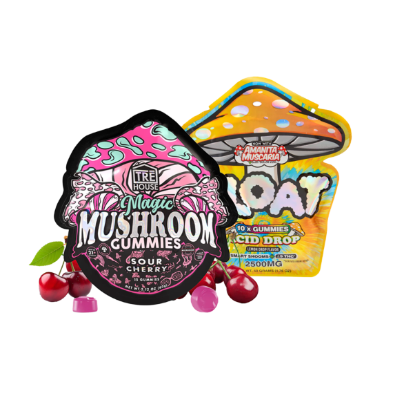 Mushroom Gummy Bundle