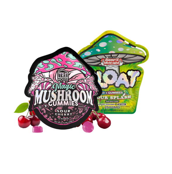 Mushroom Gummy Bundle
