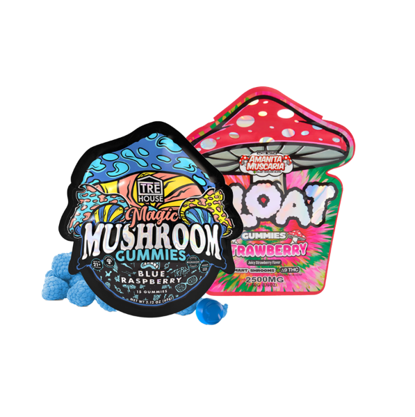 Mushroom Gummy Bundle