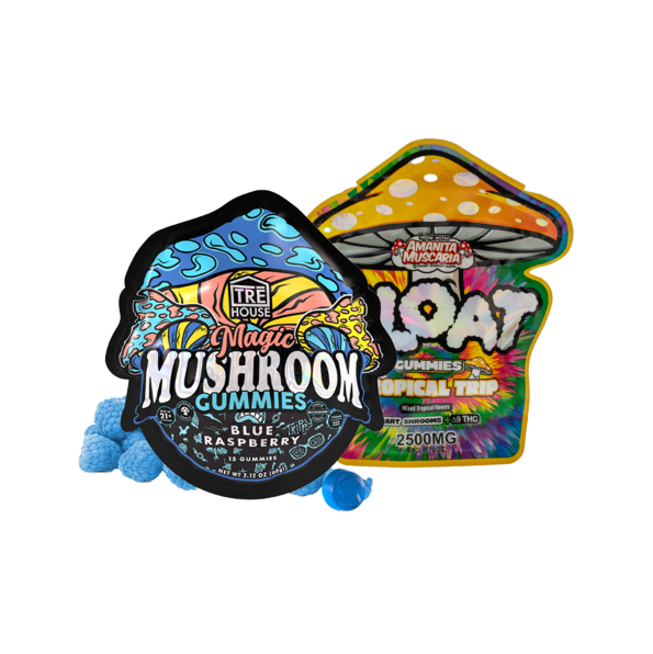Mushroom Gummy Bundle
