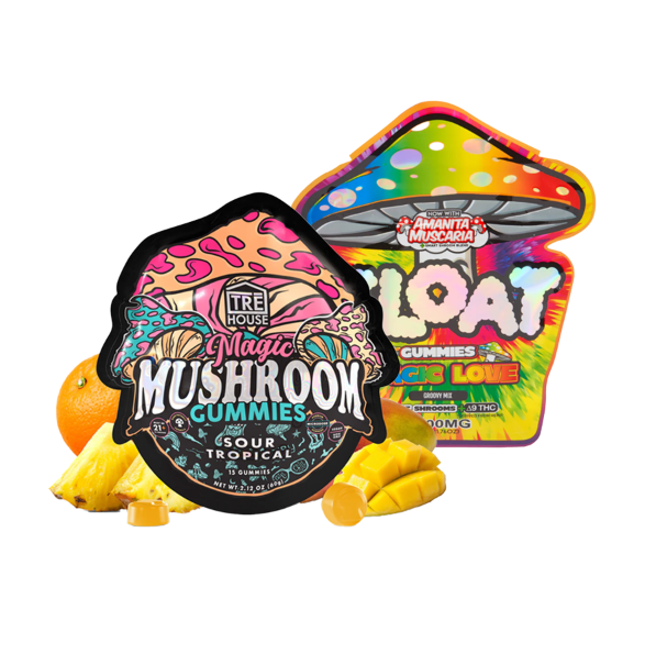 Mushroom Gummy Bundle