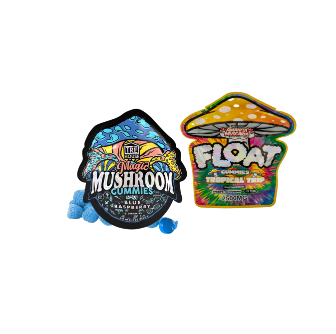 Mushroom Gummy Bundle