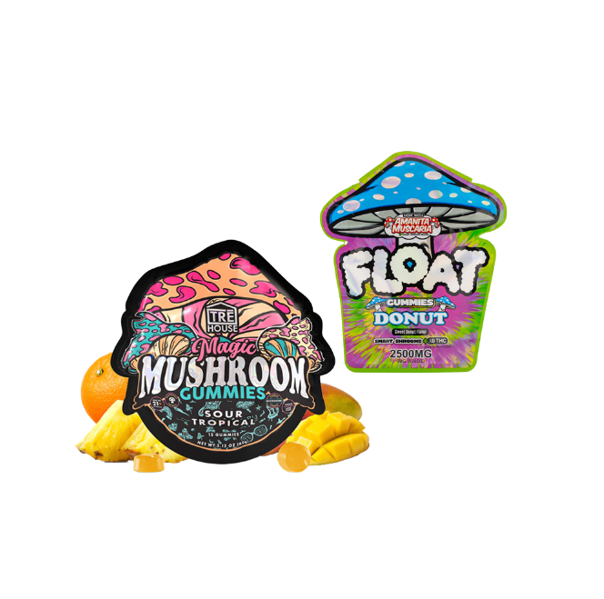 Mushroom Gummy Bundle