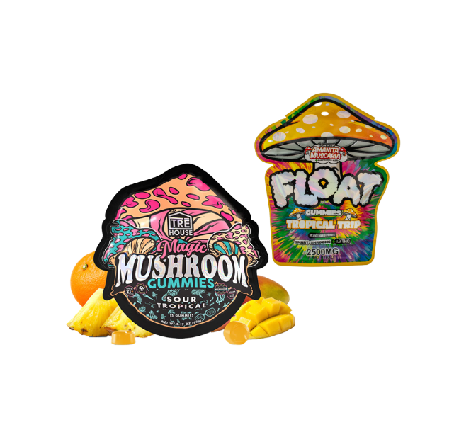 Mushroom Gummy Bundle