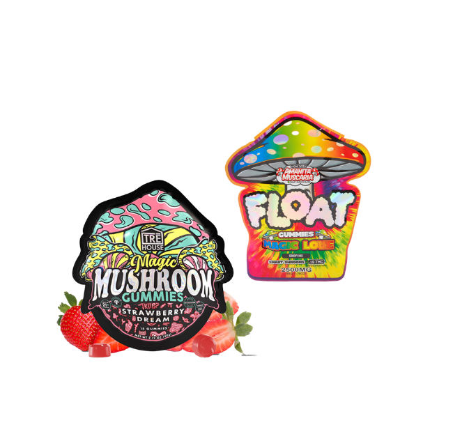 Mushroom Gummy Bundle