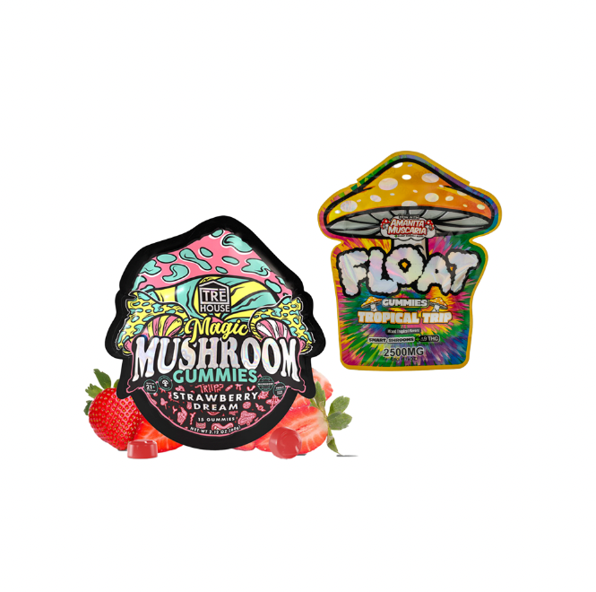 Mushroom Gummy Bundle