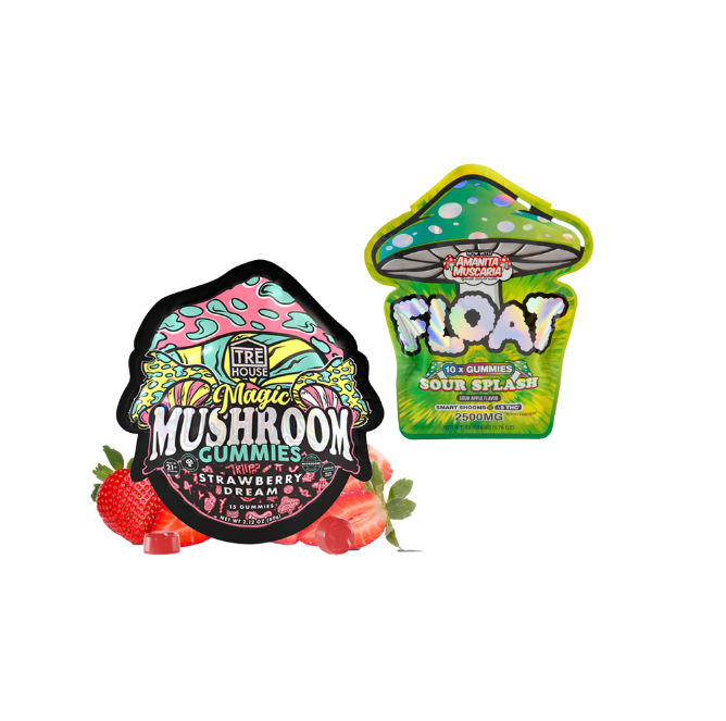 Mushroom Gummy Bundle