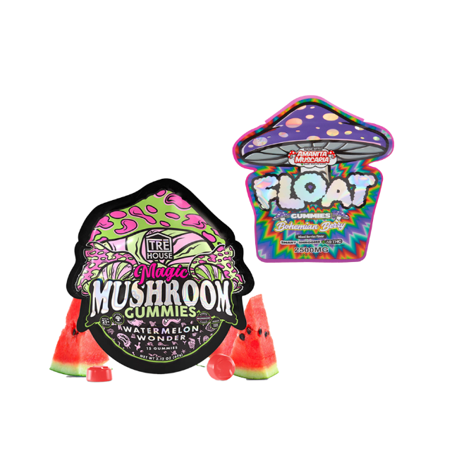 Mushroom Gummy Bundle