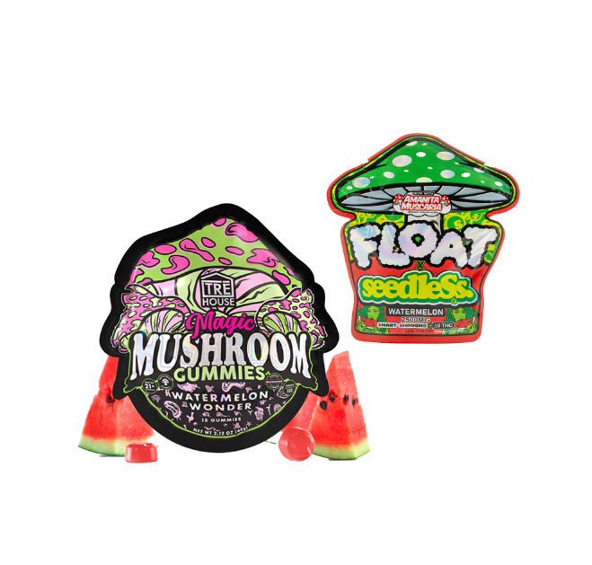 Mushroom Gummy Bundle