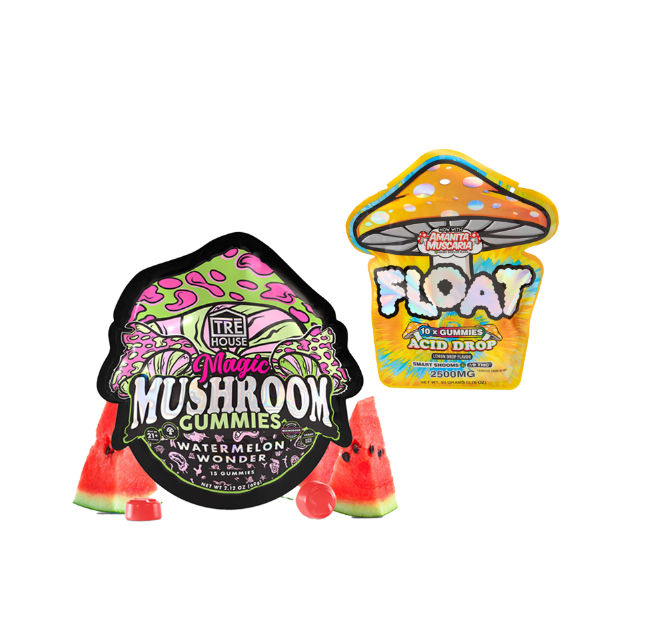 Mushroom Gummy Bundle