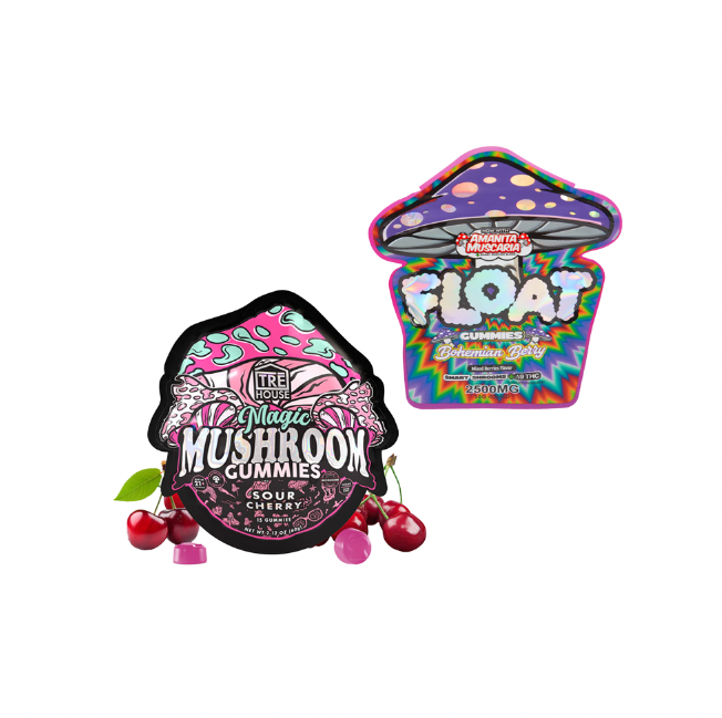 Mushroom Gummy Bundle