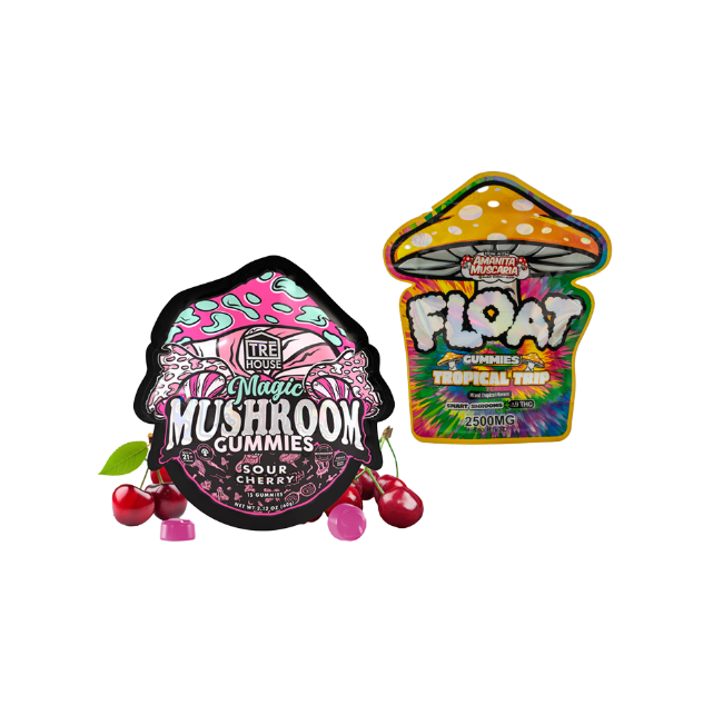 Mushroom Gummy Bundle