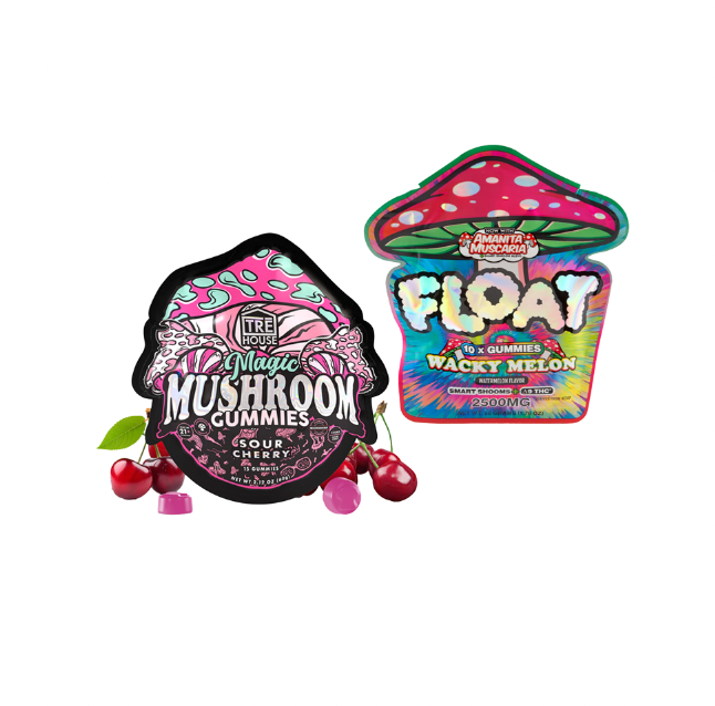 Mushroom Gummy Bundle